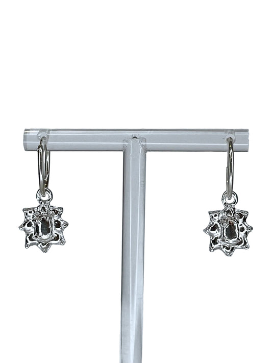 Faux Earrings