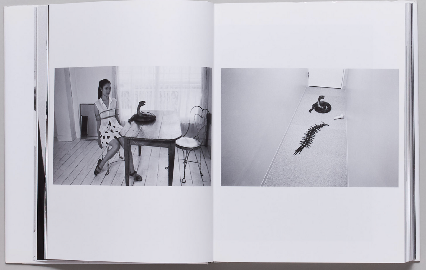 Araki Teller, Teller Araki