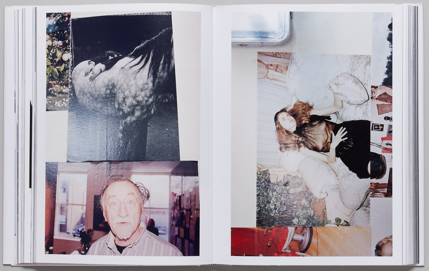 Araki Teller, Teller Araki