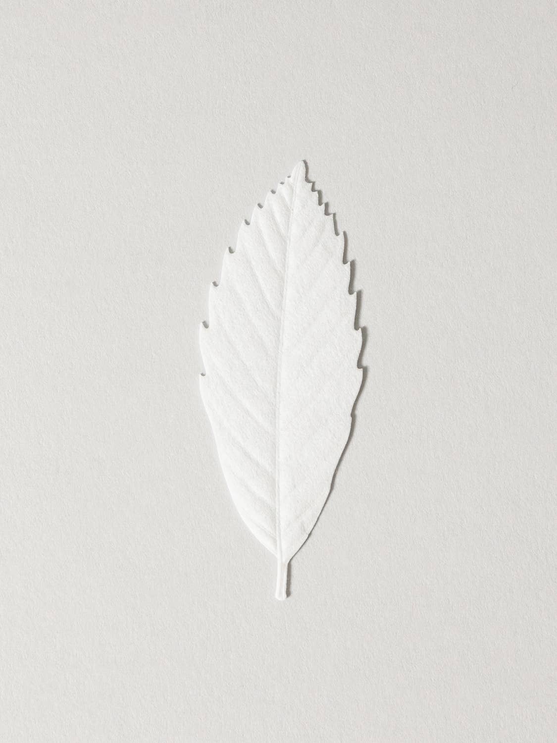 HA KO Paper Incense - Cedar