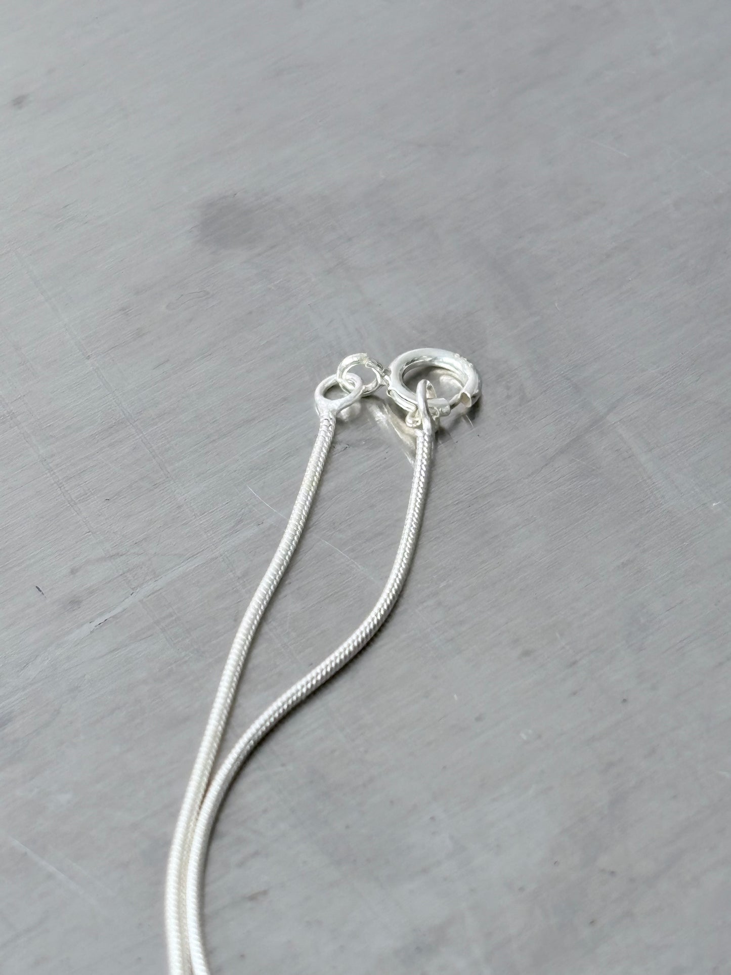 AS Charm with SS Chain 45cm